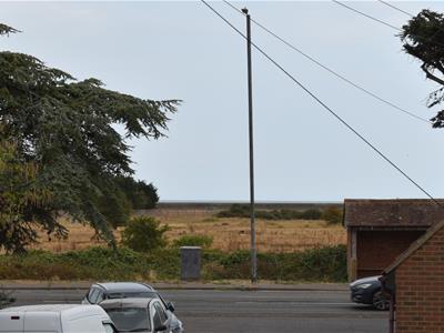 Picture 20